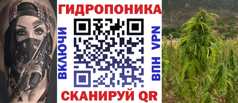 цены   Киров  Конопля Amnesia 